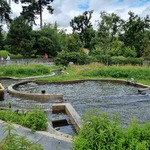 Rivi&egrave;re des ch&egrave;vres