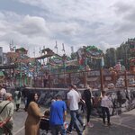 Jim & Jasper's Wild Wasser