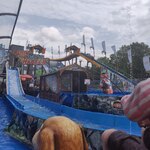 Jim & Jasper's Wild Wasser