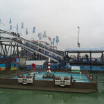 Wild Water Log Flume