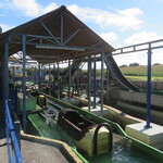 Colorado River Log Flume