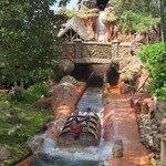 Tiana's Bayou Adventure