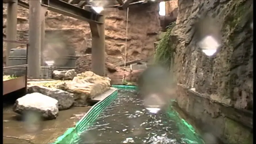 Vidéo de cette balade