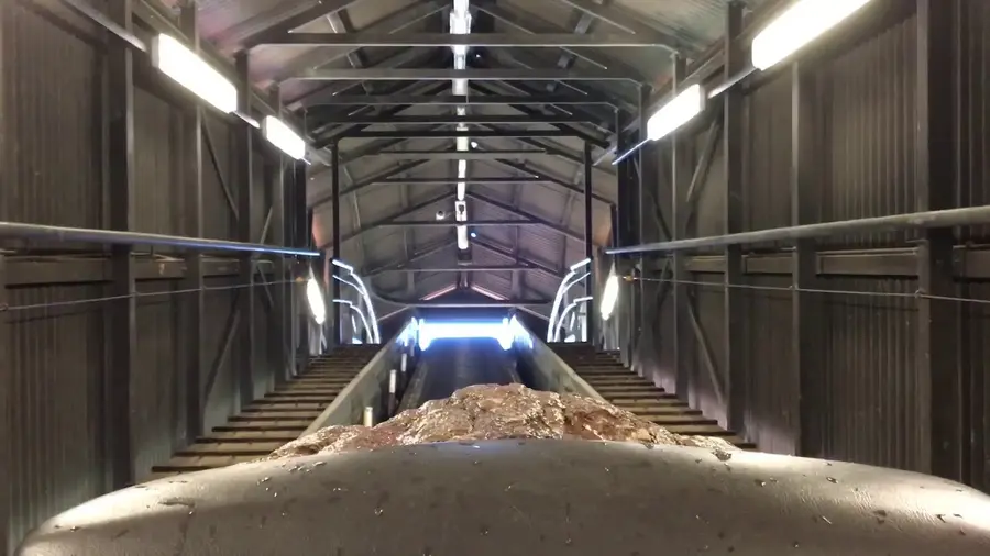 Vidéo de cette balade